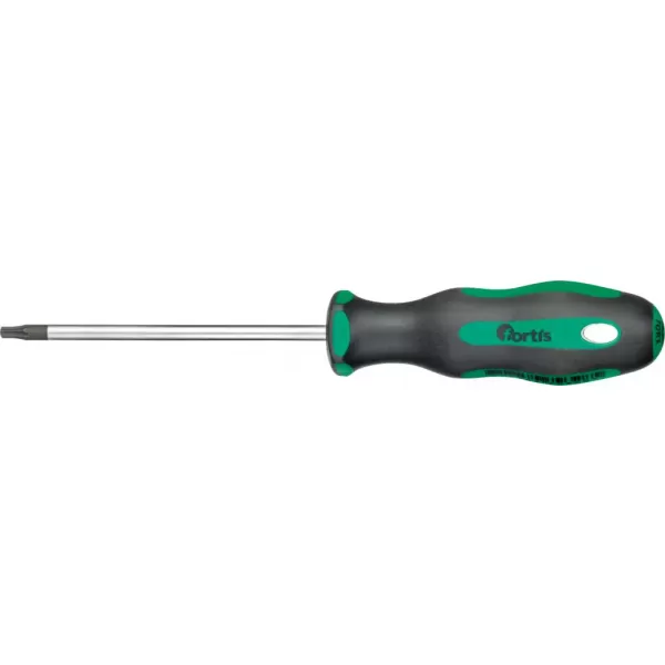 Šroubovák T10x100mm FORTIS