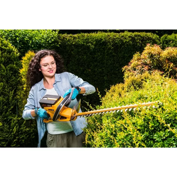 Aku plotostřih RAHT 5640 40 V solo Riwall