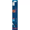 Pilový list do ocasky S 1543 HM EXPERT Hollow Brick /bal.1ks/