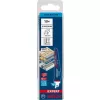 Sada pilek S 957 CHM EXPERT Window Demolition Bosch /bal.10ks/