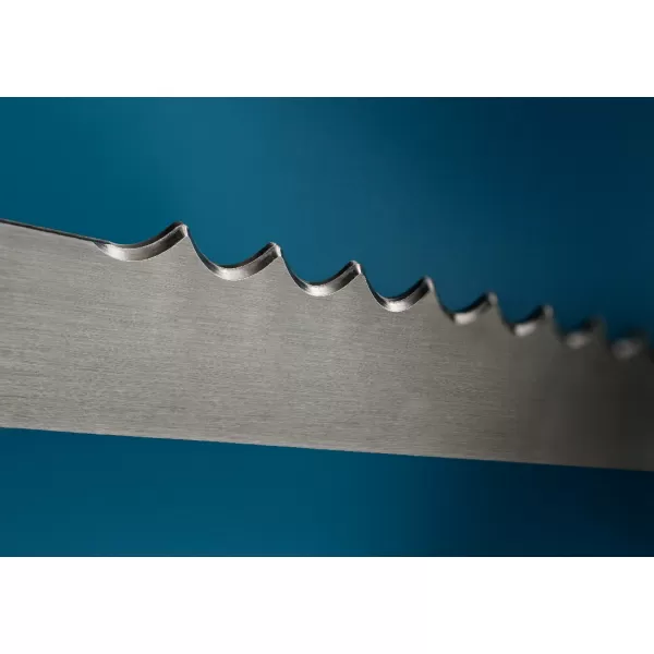 Pilový list DeWALT DT2979 /bal.1ks/