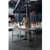 Aku vrtačka s příklepem Bosch GSB 18V-50, kufr L-case Professional 06019H5100