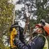 Aku nůžky na živý plot Dewalt DCMHT563P1 18V 1x5,0Ah