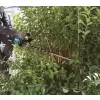 Aku plotostřih Makita 750 mm UH009GZ XGT 40V - solo