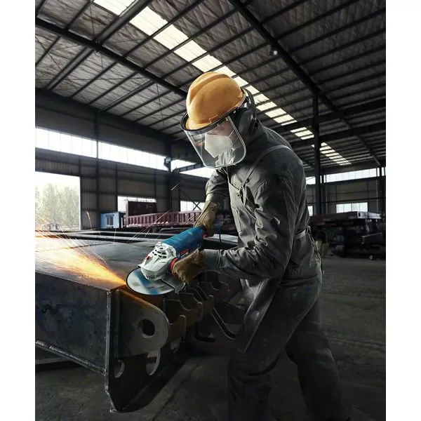 Bruska úhlová Bosch GWS 24-230 P Professional 06018C3100