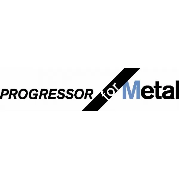 Pilový plátek do kmitací pily T 123 XF Progressor for Metal