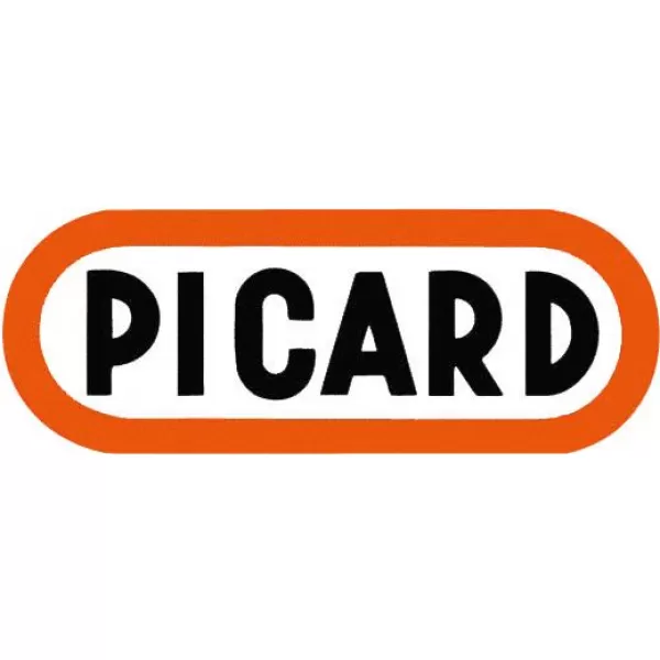 Tesařské kladivo, ohrubené magnetický držák na hřebíky 600g PICARD