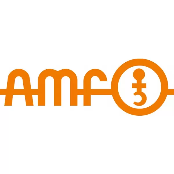 Sada kloubové klíče do čelních otvorů pro momentové klíče " 40-80mm AMF