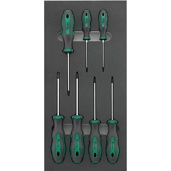 Modul pro nástroje 1/3 Šroubovák Torx FORTIS