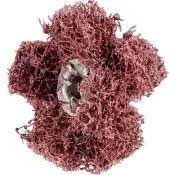 Brusná hvězdice Polinox T 25-2 A 80 PFERD