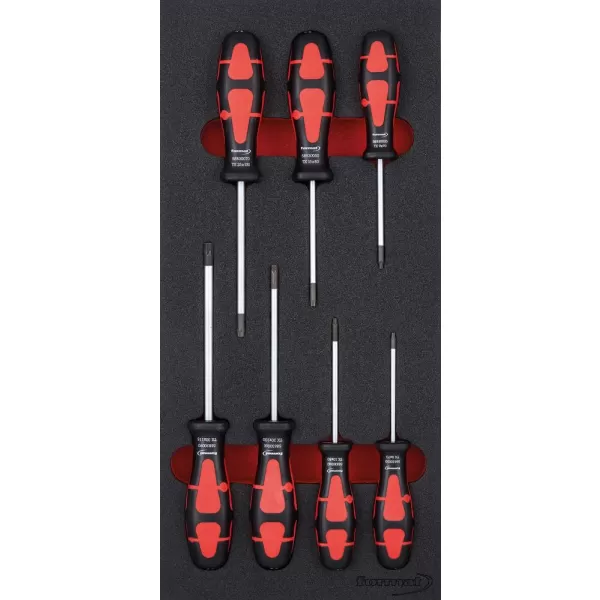 Modul pro nástroje 1/3 Šroubovák Torx FORMAT