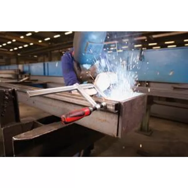 Šroubovací svěrka ocelová 2-složková rukojeť 120x60mm BESSEY